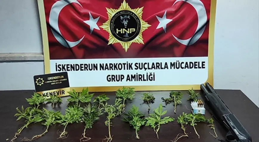 ARSUZ’DA KENEVİR OPERASYONU