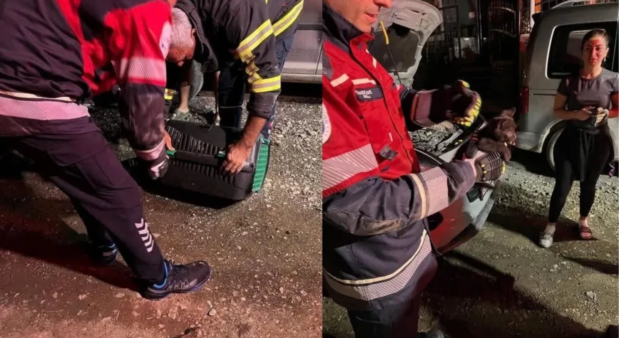 Arsuz’da Motor Kısmına Sıkışan Yavru Kedi Kurtarıldı