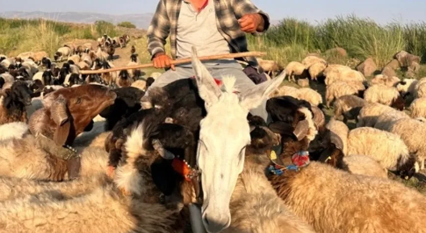 Asırlık Miryah Geleneği Yaşatılıyor