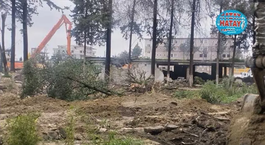 Atatürk Parkındaki ağaçları kestiler