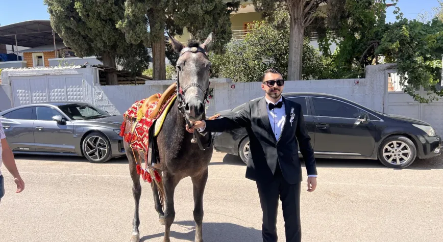 Atla Gelin Almaya Gitti, Trafiğe Takıldı!