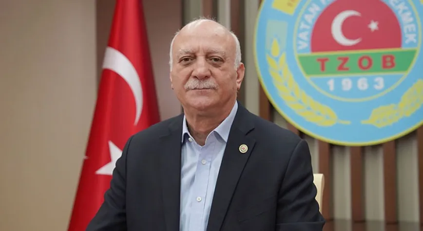 Aylık ve yıllık girdi fiyatlarındaki değişim