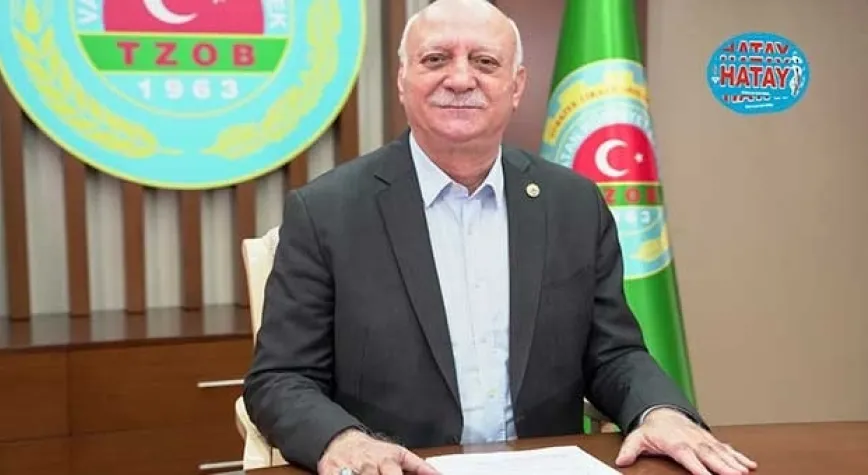 Aylık ve yıllık girdi fiyatlarındaki değişim