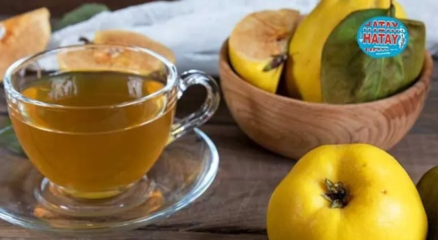 Ayva Yaprağı Faydaları Nelerdir? 