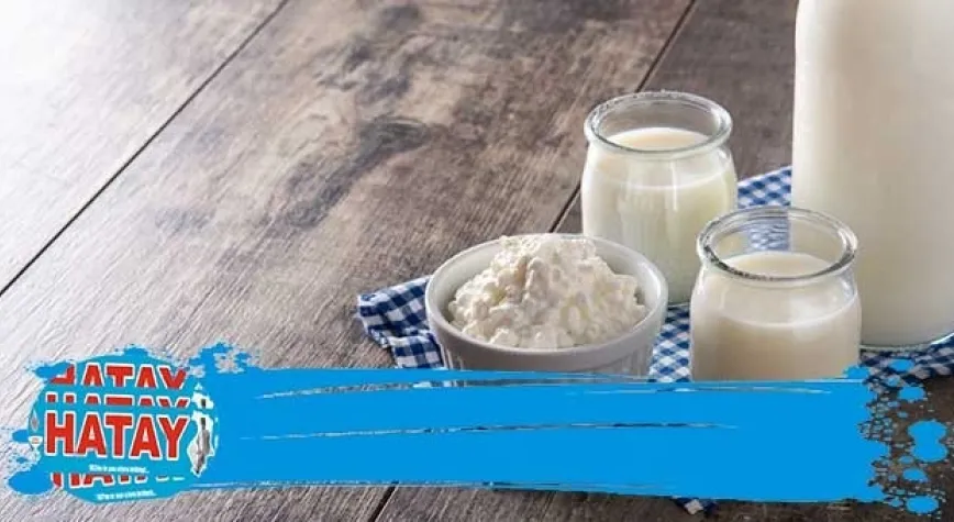 Bağırsaklara İyi Gelen Besinler