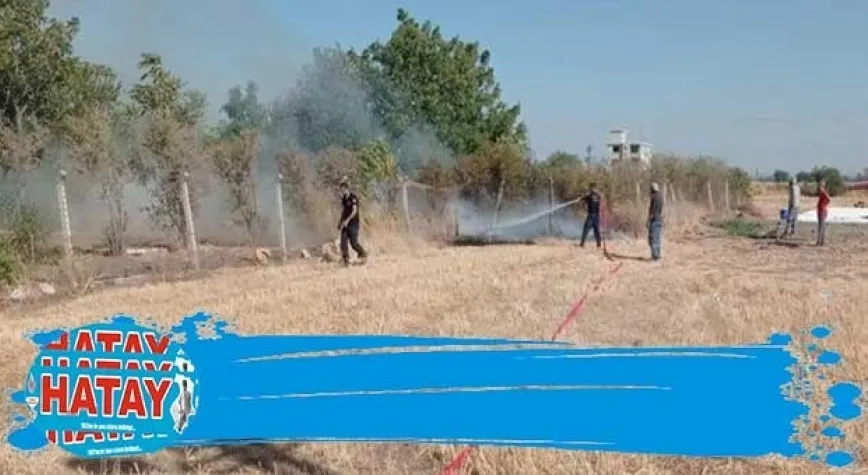 Bahçe yangını söndürüldü 