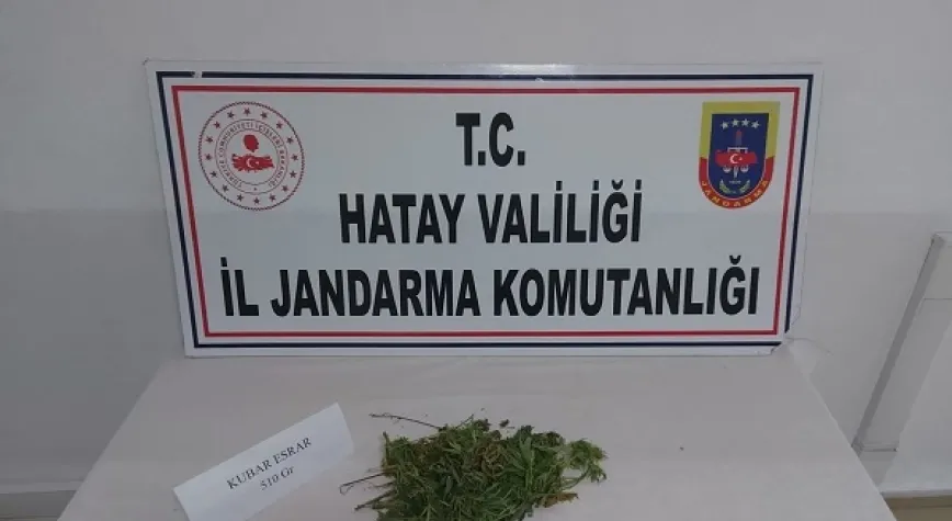 Bahçede esrar ve kenevir yakalandı