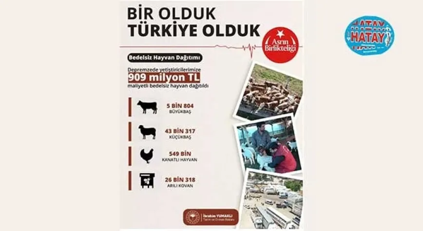 Bakan Yumaklı: 909 milyon TL maliyetli bedelsiz hayvan dağıtıldı