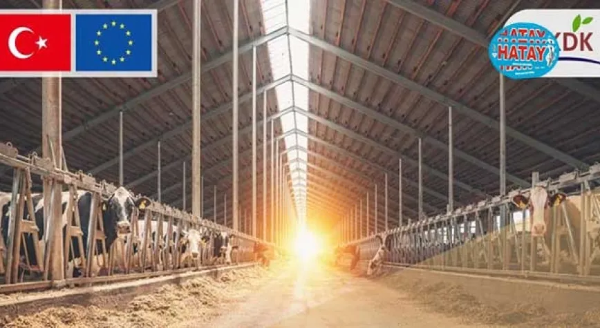 BAKAN YUMAKLI: IPARD-II KAPSAMINDA 282 PROJEYE 768 MİLYON LİRA HİBE DESTEĞİ SAĞLANACAK