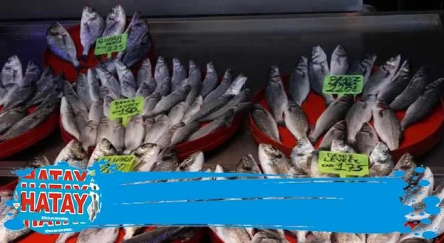 Balık avı başladı, istavritin fiyatı yarıya düştü