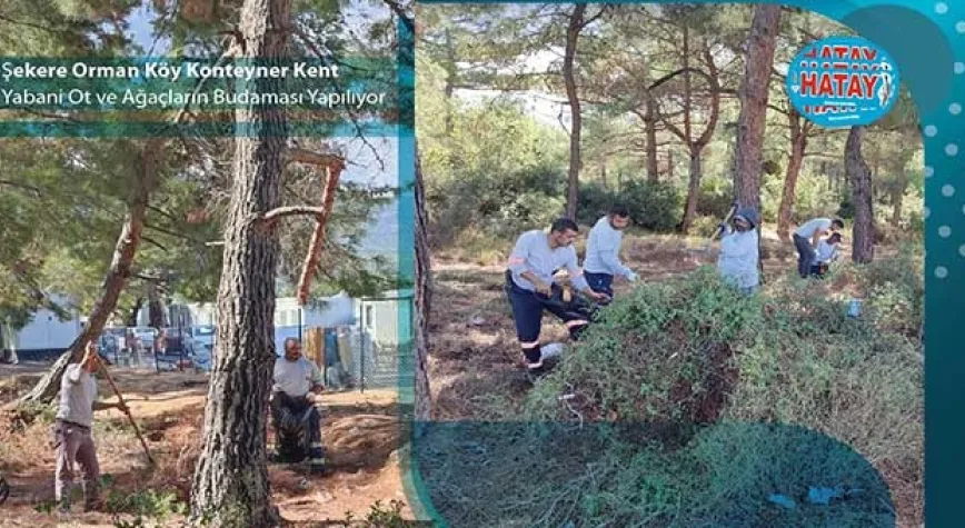 BAŞKAN GÜL ÇALIŞIYOR BELEN GÜZELLEŞİYOR