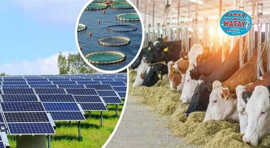 BAŞVURULAR 19 ŞUBAT'A KADAR DEVAM EDECEK