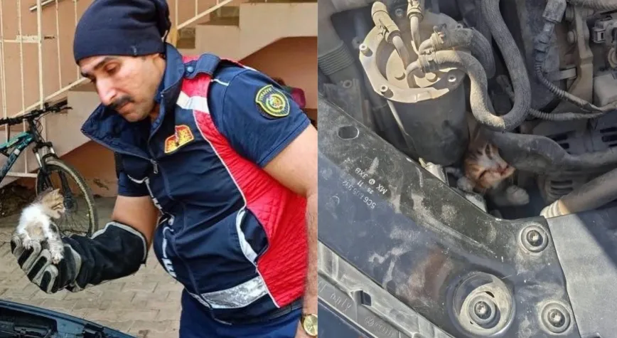 Belen ve Antakya’da Mahsur Kalan Hayvanlar Kurtarıldı