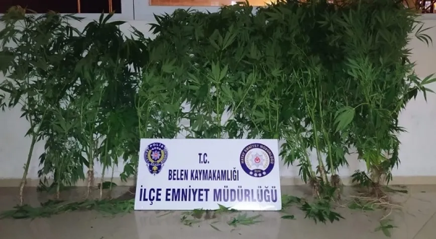 Haber Resmi