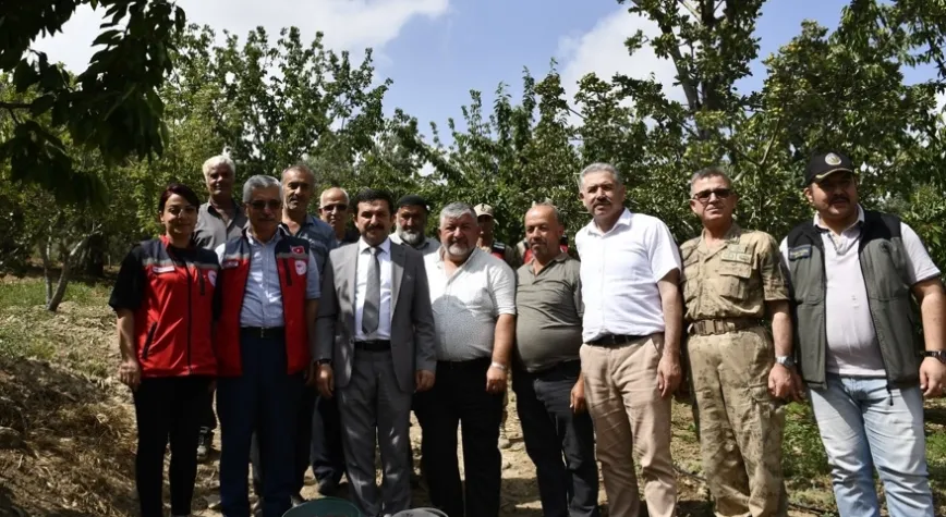 Benlidere’de Kiraz Hasadı Başladı
