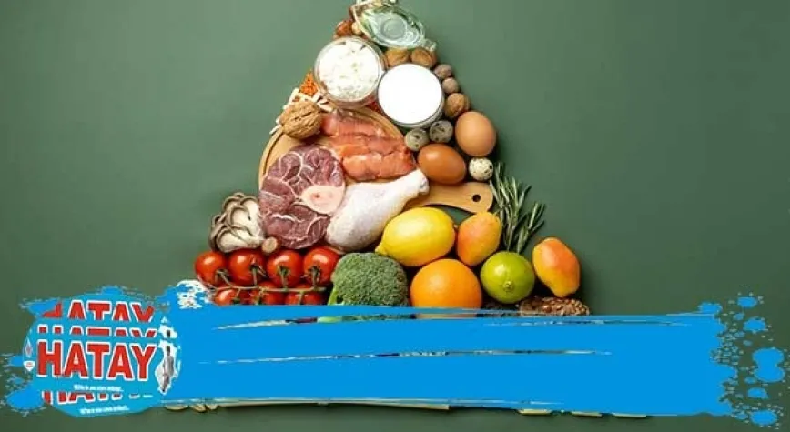 Besin Piramidi Nedir?