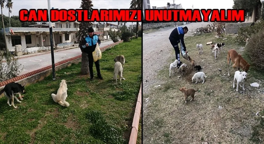 BİR KAP SU KOYMAYA ÜŞENMEYİN