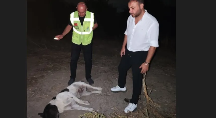 BİRİMLERİ TEYAKKUZA GEÇİRDİ