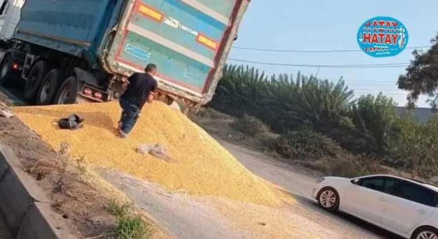BUĞDAYLAR ASFALTA DÖKÜLDÜ