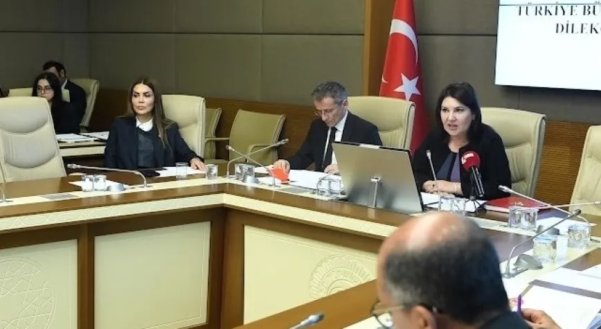ÇALIŞKAN: UÇAK BİLETLERİ YÜZÜNDEN GURBETÇİ ÜLKESİNE GELEMİYOR!