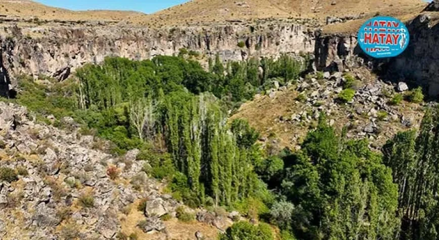 ÇALIŞMA SONUCUNU SOSYAL MEDYADAN PAYLAŞTI