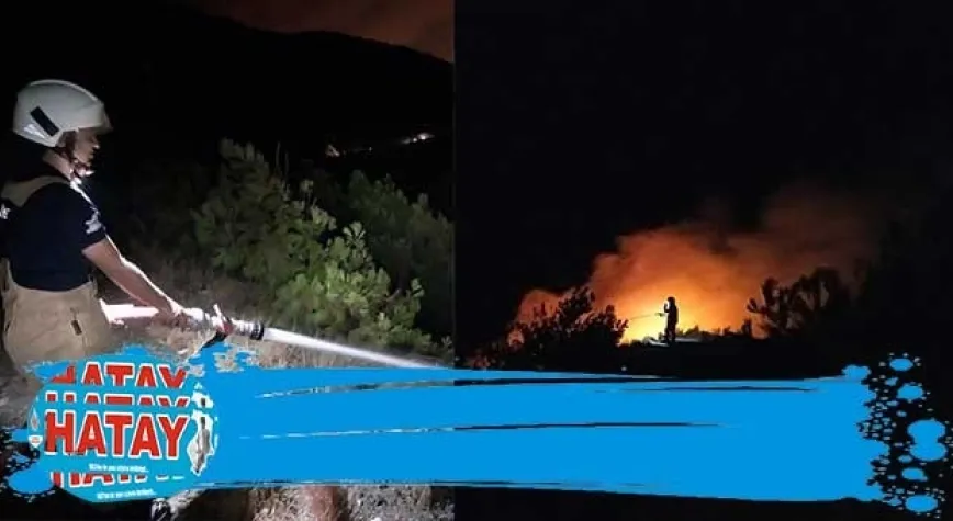 ÇAMLIK ALANDA YANGIN!
