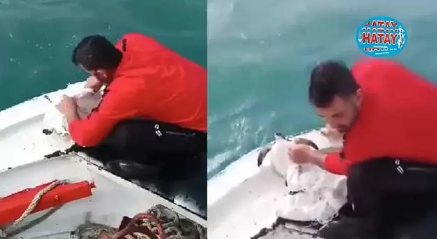 CARETTA’YI BALIKÇILAR KURTARDI