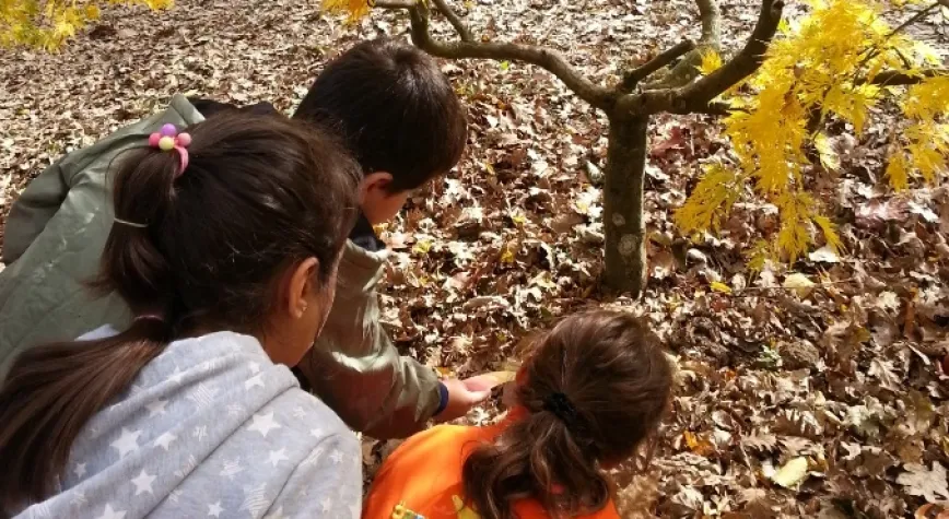 ÇEKÜL Bilgi Ağacı’nın Öğretmen Programları Başvuruları Başladı