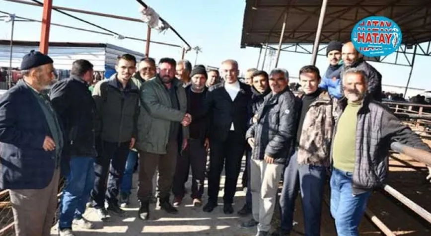 ÇELİK: HAYVAN BESİCİLERİMİZE DESTEKLERİMİZ DEVAM EDECEK
