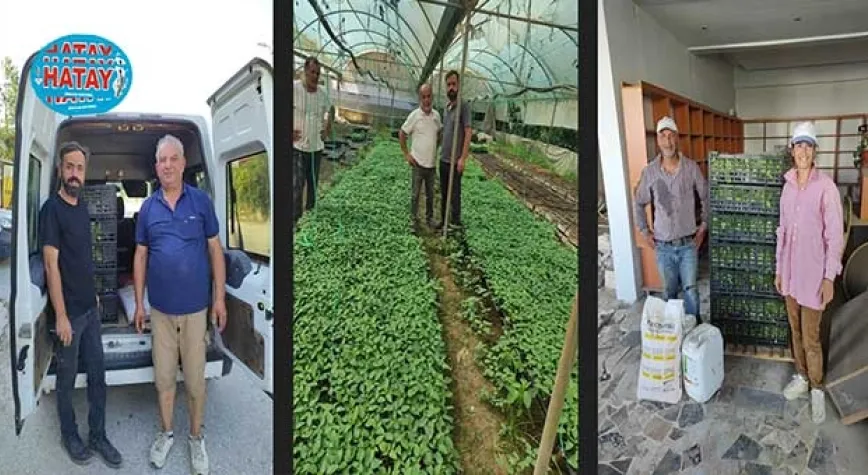 ÇİFTÇİLERE FİDE VE GÜBRE DESTEĞİ