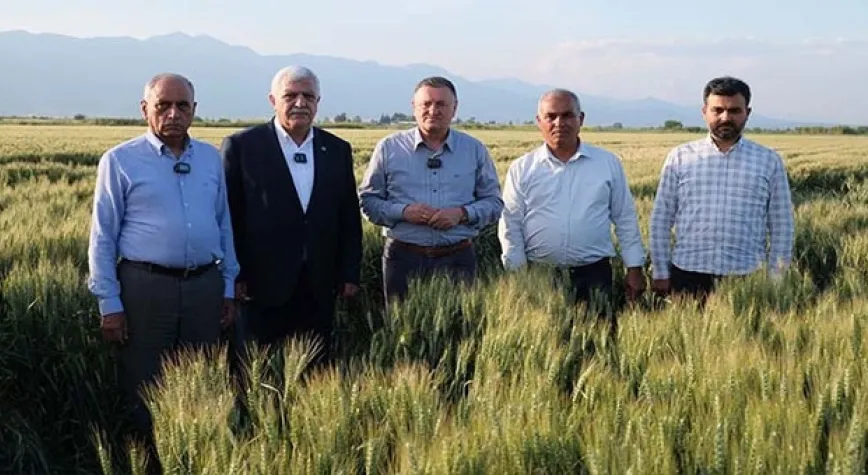ÇİFTÇİLERİN YÜZÜ GÜLÜYOR