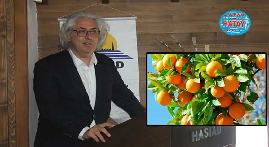 Çiftçimiz zarar etmemeli, üretime küsmemelidir