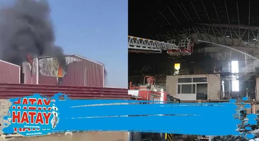 Çıkan yangın işyerlerini tehdit etti