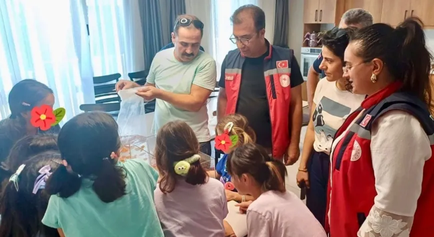 Çocuklara Akvaryum Ve Balık