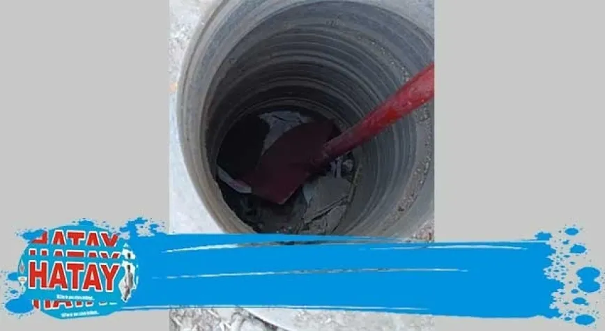 ÇUKURA DÜŞEN KİRPİ KURTARILDI
