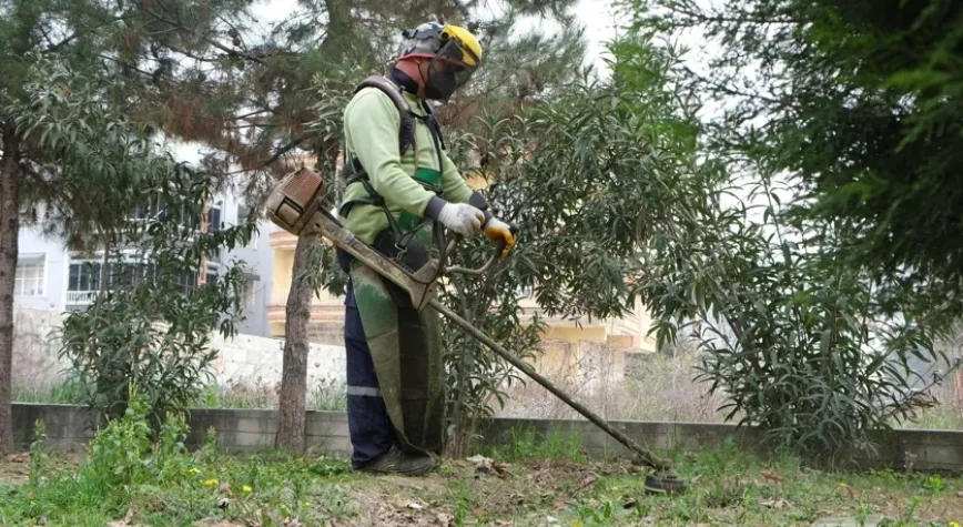 Daha Yeşil, Daha Yaşanabilir Bir Defne İçin Sahadayız