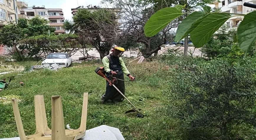 DEFNE BELEDİYESİ OTLARI TEMİZLEDİ