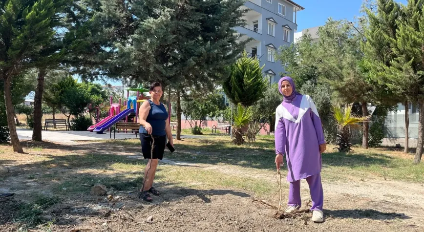 Defne’de Ağaçlar Söküldü, Mahalleli Ayağa Kalktı