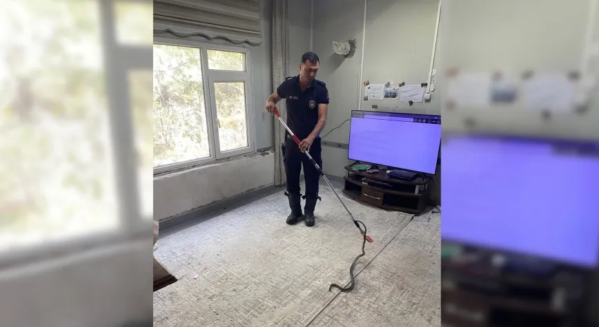 Defne’de Eve Giren Yılanı İtfaiye Ekipleri Yakaladı