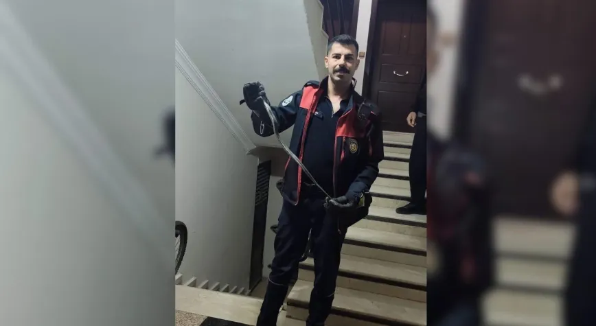 Defne’de Görülen Yılan İtfaiye Ekiplerince Yakalandı