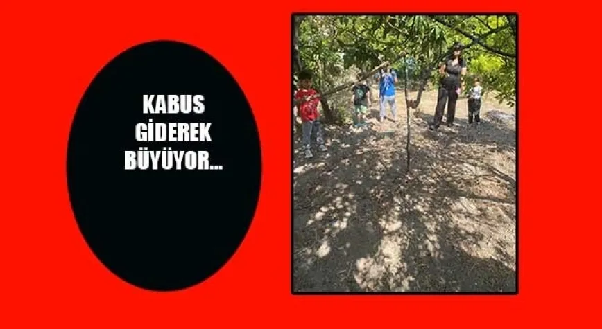 Haber Resmi