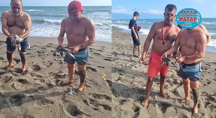 DENİZ KAPLUMBAĞASINI KURTARDILAR