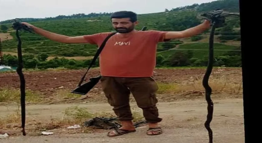 DEPREM SONRASI YILANLAR ÇOĞALDI