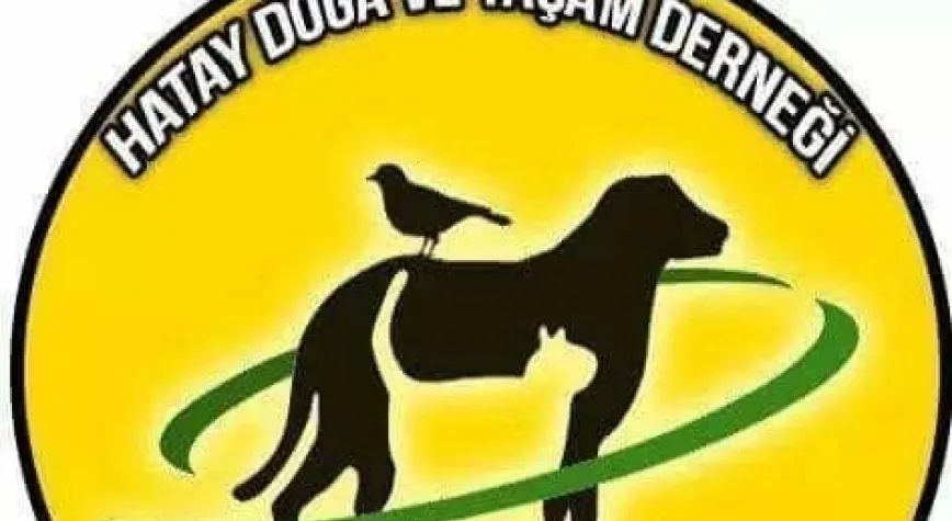 DERNEĞİMİZ KENDİ İMKANLARI İLE FAALİYETLERİNE DEVAM EDİYOR