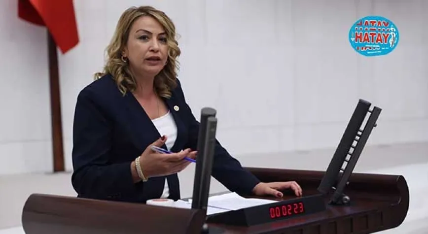 DOĞA İÇİN SEFERBERLİK TALEP EDENLER, ÇED RAPORU ZORUNLULUĞUNU KALDIRIYOR