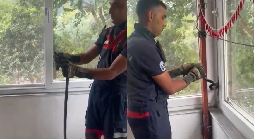 Dörtyol'da Eve Giren Yılan Pencere Arasında Sıkıştı