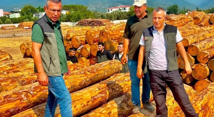 Dörtyol’da Orman Çalışmaları Değerlendirildi