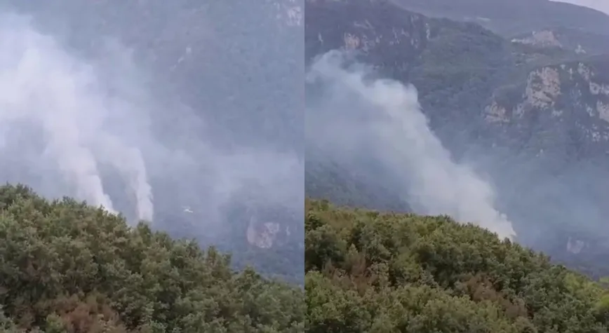 Dörtyol’da Orman Yangını: Müdahale Sürüyor