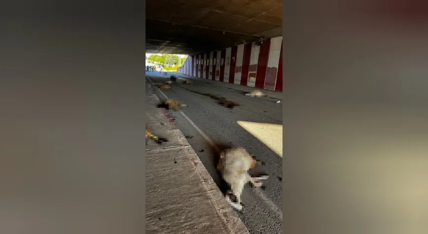 Dörtyol’da Otomobil Sürüye Daldı