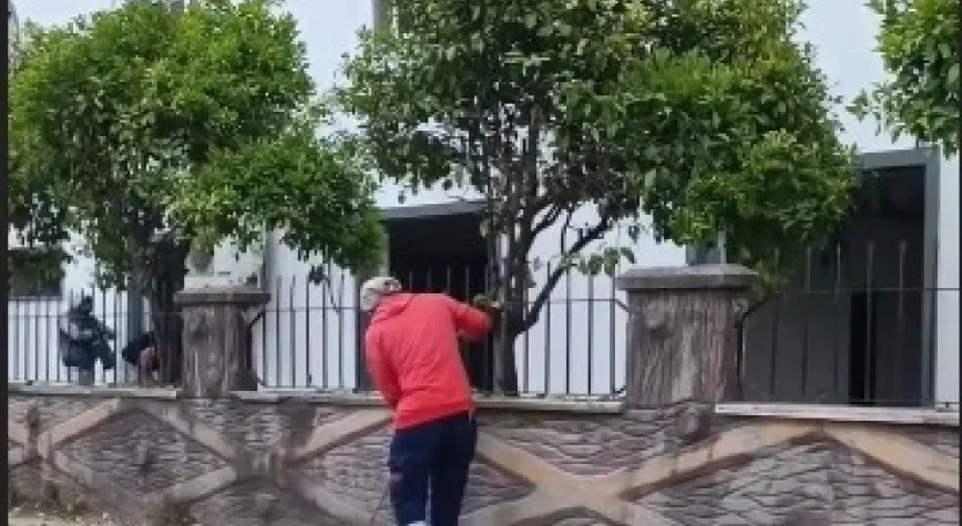 Haber Resmi